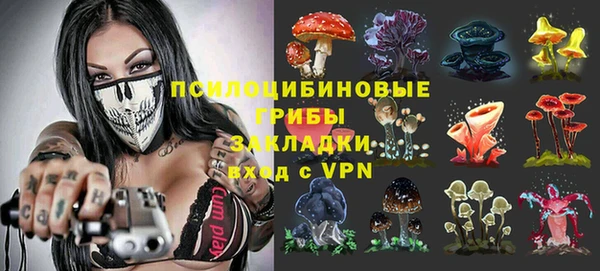 мяу мяу мука Пролетарск