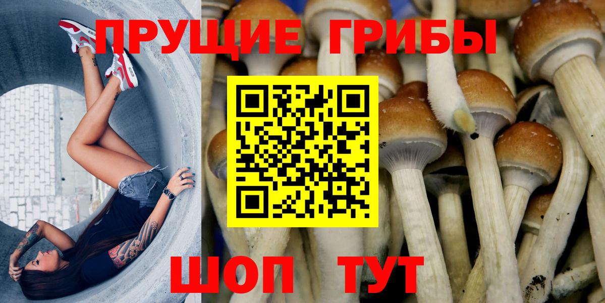 закладка  Апшеронск  Галлюциногенные грибы мухоморы 