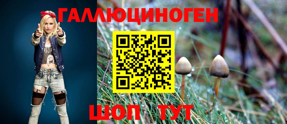 Псилоцибиновые грибы Magic Shrooms Апшеронск